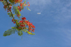 PHGE_2016_01914.jpg