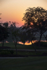 PHGE_2017_02413.jpg
