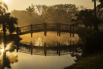 PHGE_2017_03579.jpg