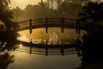 PHGE_2017_03581.jpg