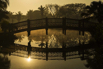 PHGE_2017_03644.jpg
