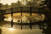 PHGE_2017_03647.jpg