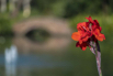 PHGE_2017_03838.jpg