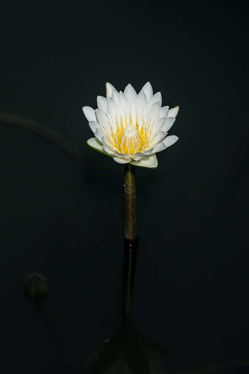 PHGE_2017_04043.jpg