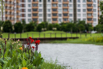 Star City_2014_0667.jpg