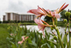 Star City_2014_0672.jpg