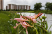 Star City_2014_0673.jpg