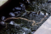 OasisSpa_2023_00575.jpg