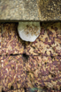 OasisSpa_2023_00589.jpg