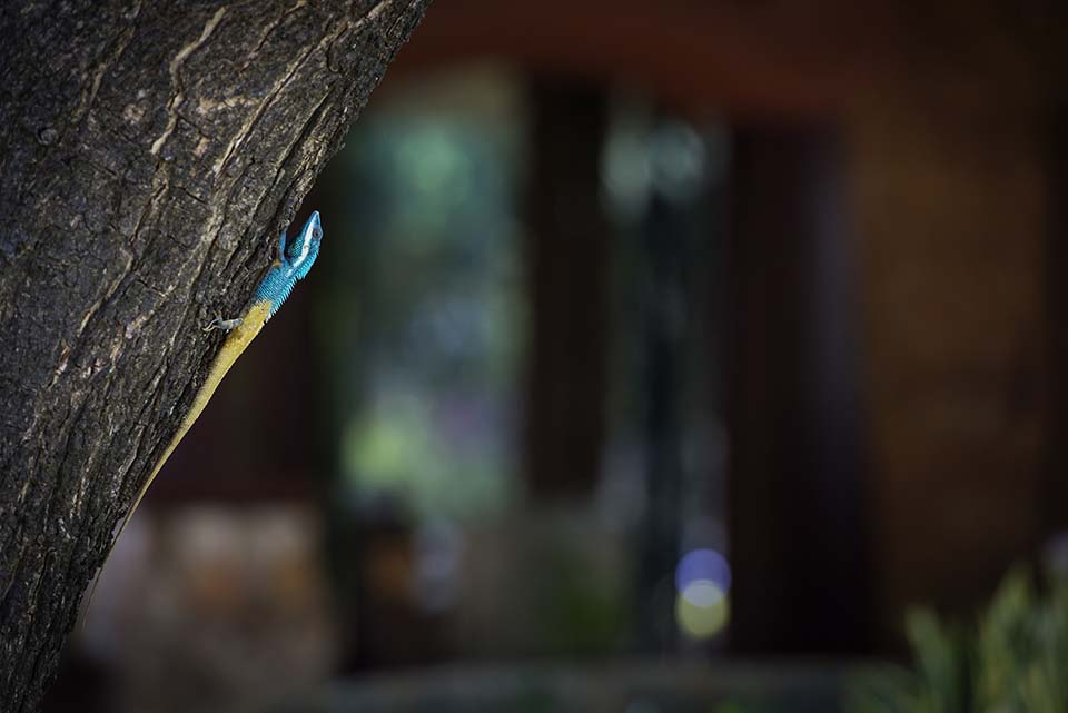 PHGE_2015_00741.jpg