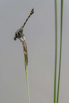 PHGE_2016_02073.jpg