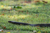 StarCity_Golf_2023_00228.jpg