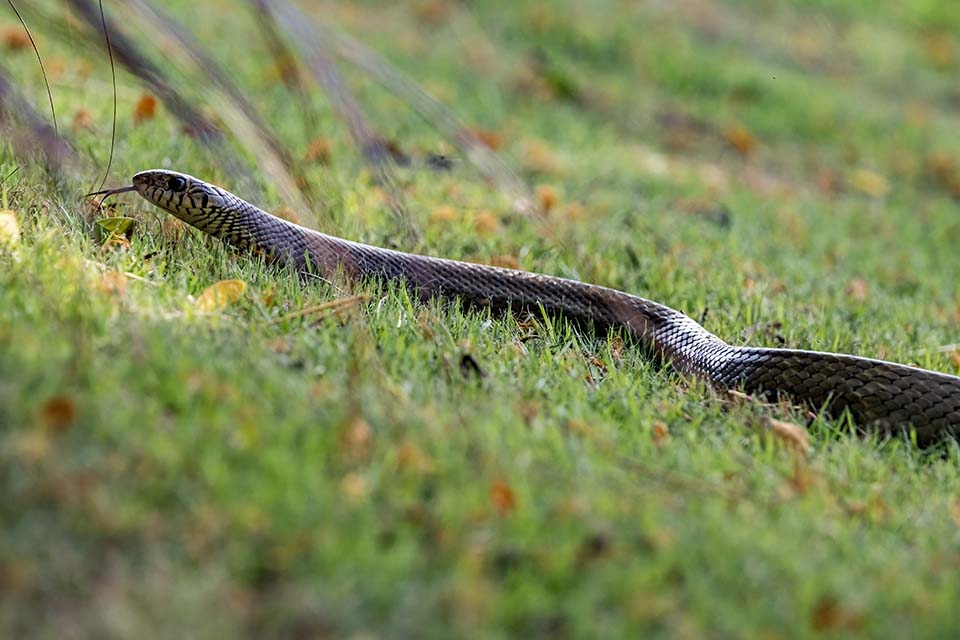 StarCity_Golf_2023_00230.jpg