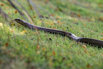 StarCity_Golf_2023_00230.jpg
