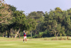 PHE_Golf_2020_03495.jpg