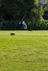 PHE_Golf_2020_00397.jpg
