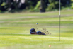 PHE_Golf_2021_03008.jpg