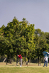 PHE_Golf_2021_03308.jpg