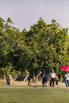 PHE_Golf_2021_03454.jpg