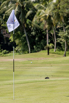 PHE_Golf_2022_00151.jpg