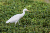 PHE_Golf_2022_00203.jpg