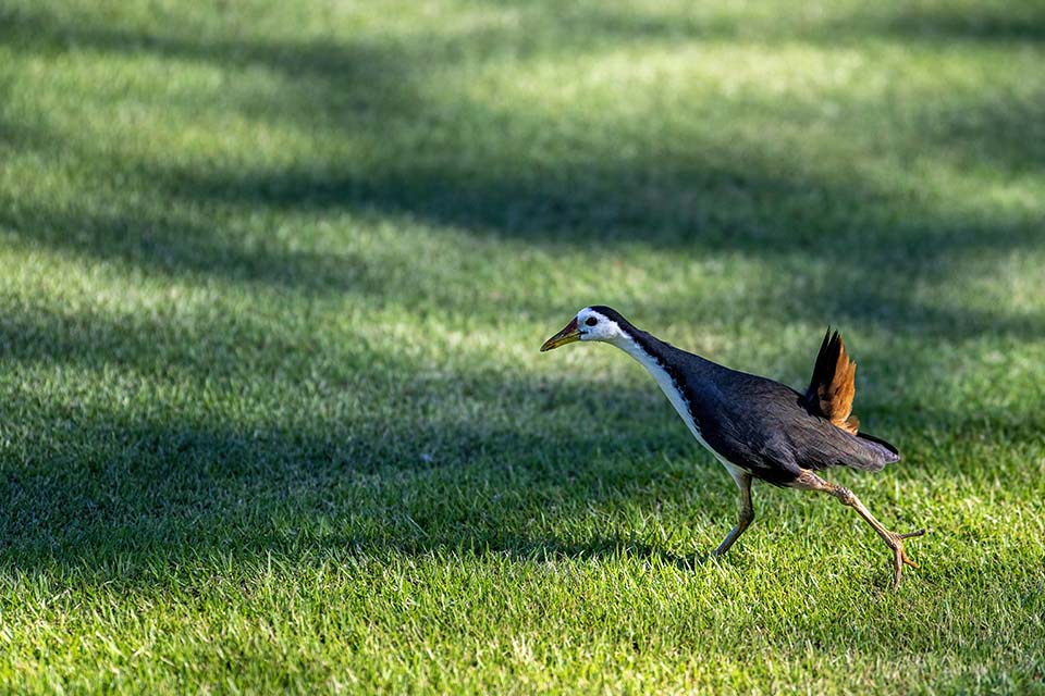 PHE_Golf_2022_00279.jpg