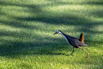 PHE_Golf_2022_00279.jpg