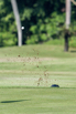 PHE_Golf_2022_00005.jpg