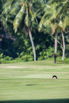 PHE_Golf_2022_00006.jpg