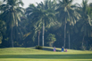 PHE_Golf_2023_09751.jpg