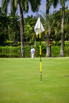 PHE_Golf_2025_03574.jpg