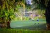 PHE_Golf_2025_01266.jpg