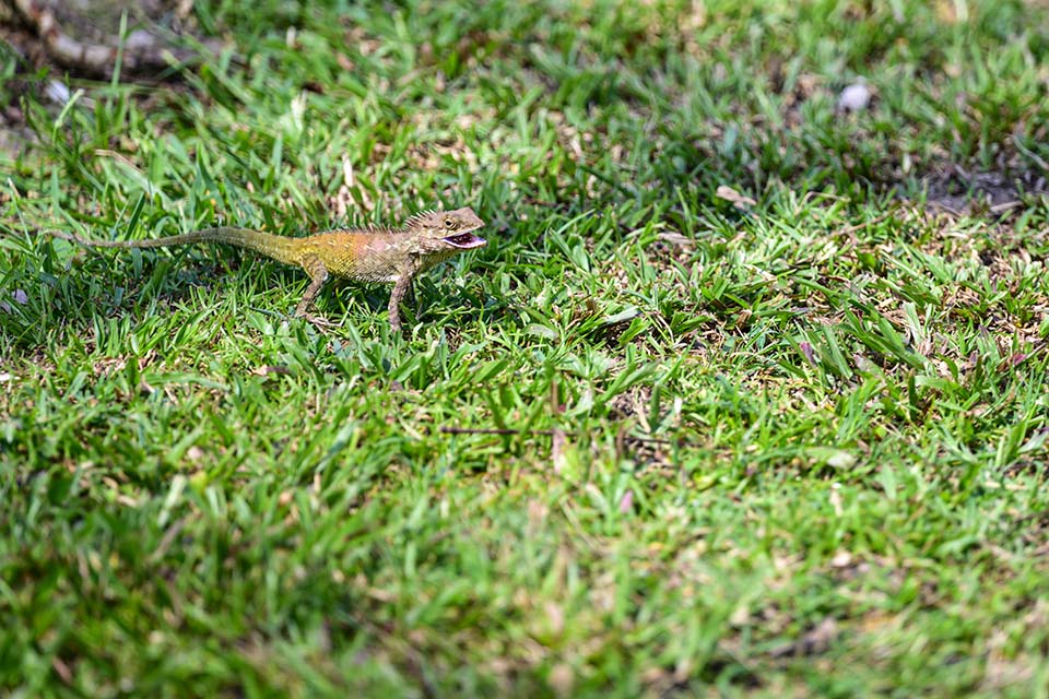 PHE_Golf_2026_00121.jpg