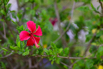 PHE_Golf_2026_00154.jpg