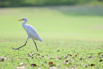 PHE_Golf_2026_00357.jpg