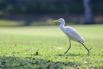 PHE_Golf_2026_00362.jpg