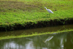 PHE_Golf_2026_00070.jpg