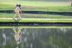 PHE_Golf_2026_00071.jpg