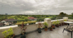 PHE_2020_00146-8.jpg