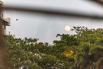 PHE_Horizons_2022_00517.jpg