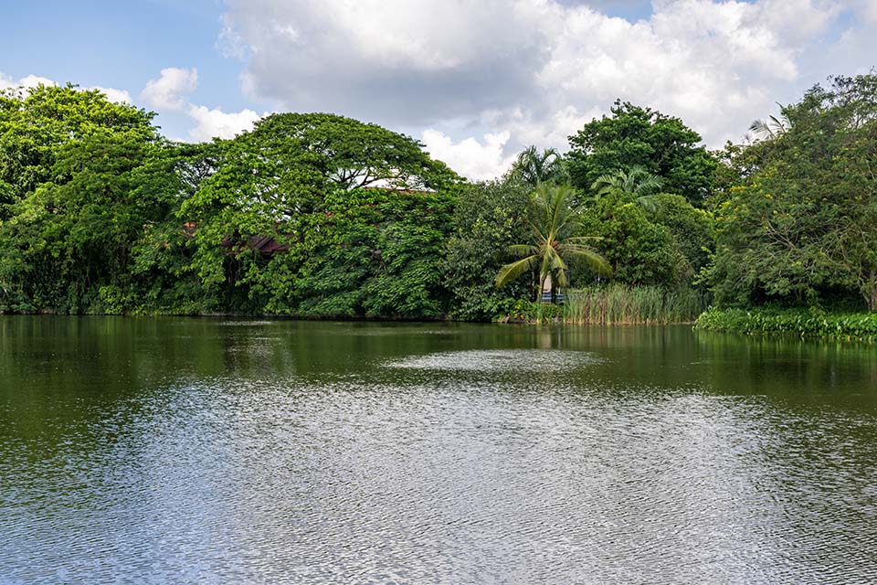 JasmineGardens_2023_00098.jpg