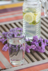 PHGE_2017_05674.jpg