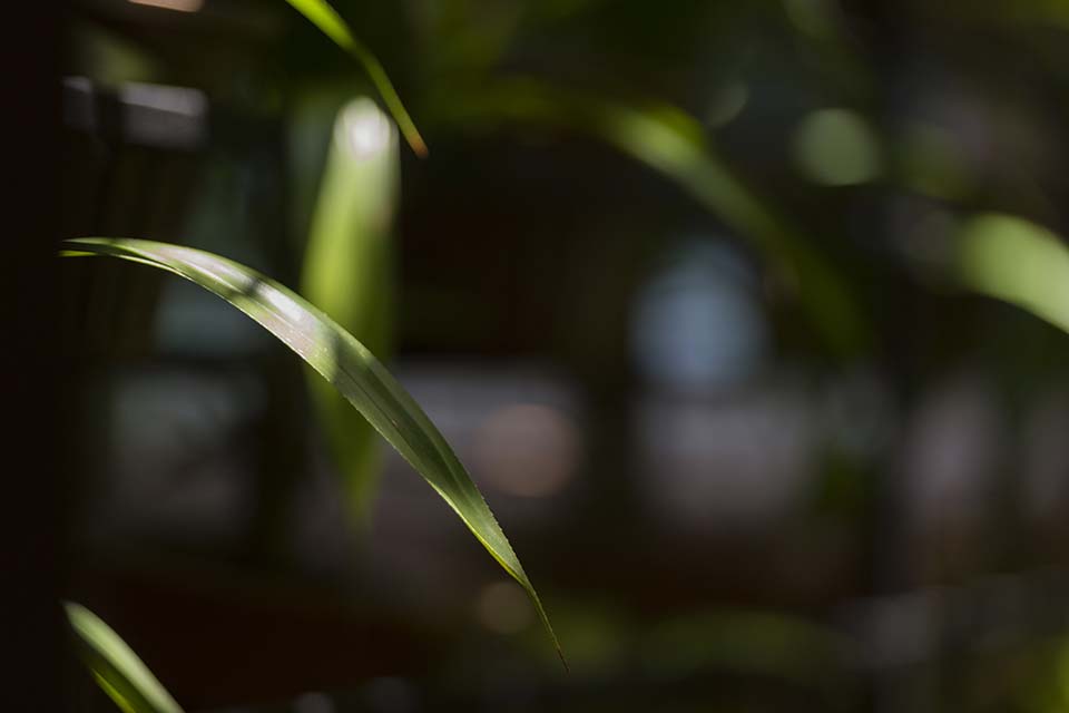 PHGE_2017_05702.jpg