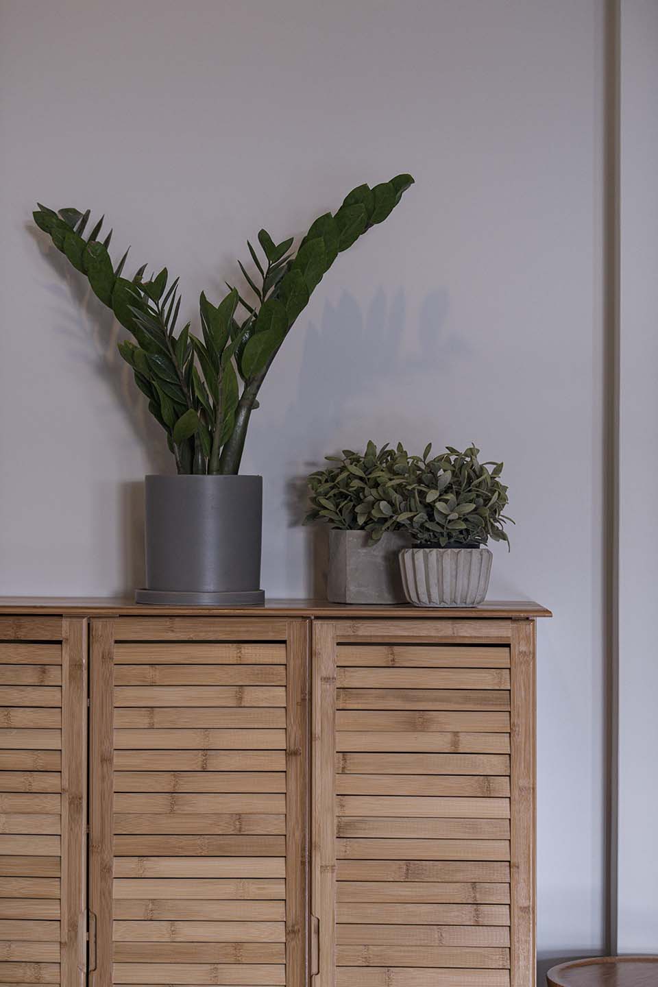 PHGE_2019_01989.jpg