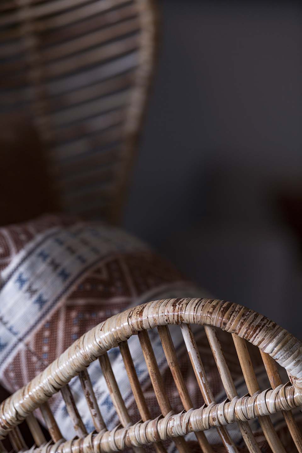 PHGE_2019_01991.jpg