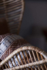 PHGE_2019_01991.jpg