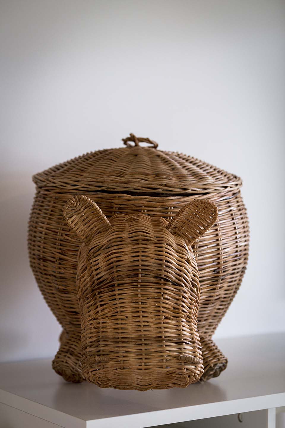 PHGE_2019_01993.jpg