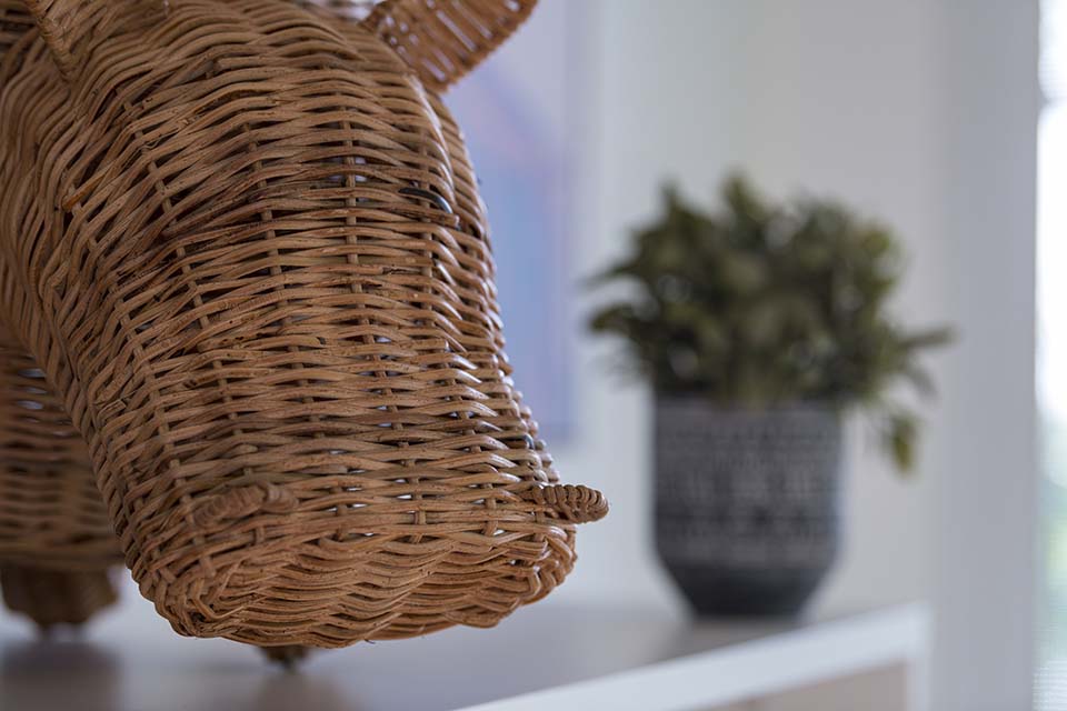 PHGE_2019_02009.jpg