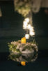 T&T_2024_00947.jpg