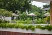 LotusPavilion_2023_00380.jpg